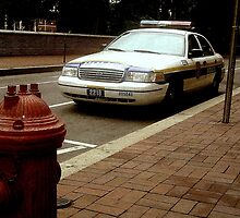 Street Patrol by Kodak