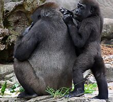 My Mum and Me by PortPix
