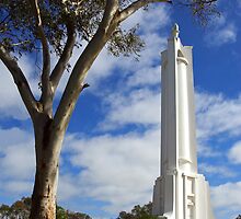 Albury War Memorial by Darren Stones