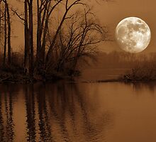 Yearning In A Lonely Place by zeebuzz