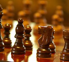 Wooden Chess Pieces by Michael Mill