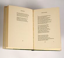 The Colossus by Sylvia Plath, Poems by Publication In The Moment