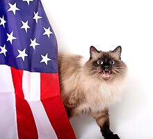 Freedom Of Speech by grinandbearit