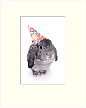 birthday rabbit