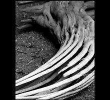 hollow 02 by Kittin
