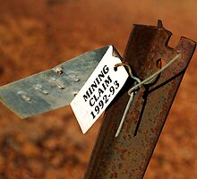 Lightning Ridge by Darren Stones