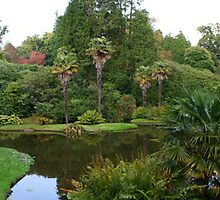 The Lost World by smileyjustforyou