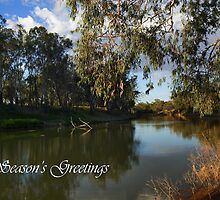 Darling River by Darren Stones
