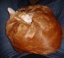 This is my spot on the couch... by Melanie PATRICK
