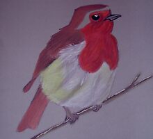 Little Robin by Catherine Brock