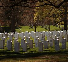Hallowed Ground by dehart12