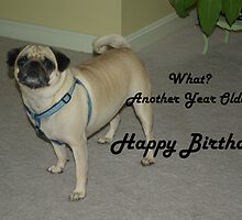 What? Another Year Older Happy Birthday by Amedori