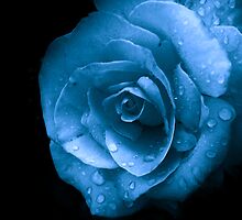 Bitter Blue by LauraElizabeth