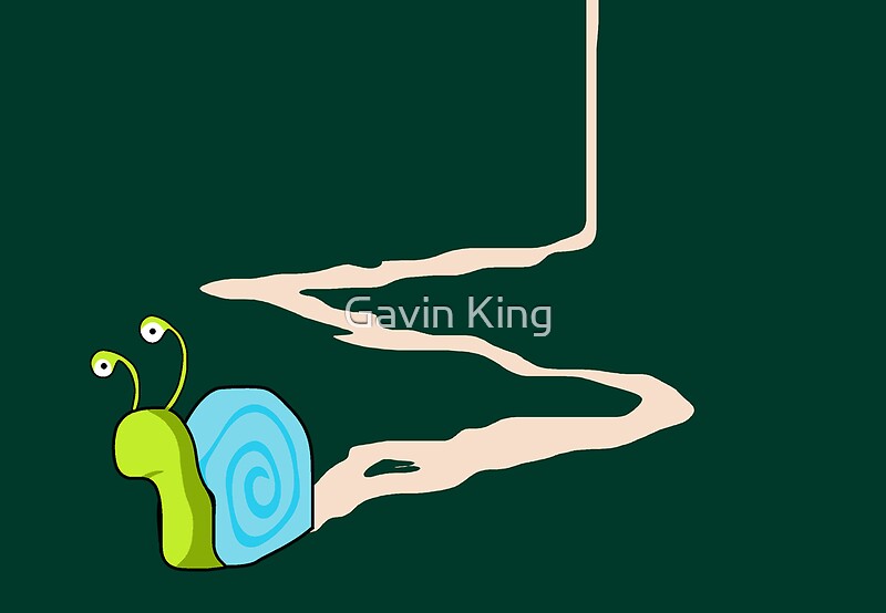 "Snail Trail" by Gavin King Redbubble