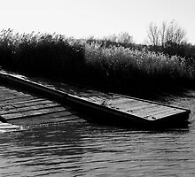 Where the path ends I cannot follow... by J. D. Adsit