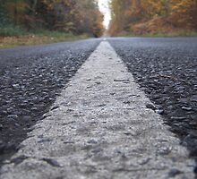 the road less travelled by loveridge