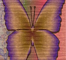 Experimenting with layers by Dominic Melfi