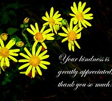 Thank you by MEV Photographs