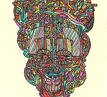 acid skull by acid