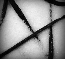 Vanilla Snow by James McKenzie