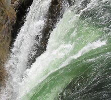 Taking the Plunge by Clarissa Stuart