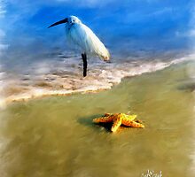 Storm Watcher by Carolyn Staut