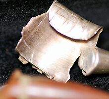 CSI BUFFS: a spent bullet by Larry Llewellyn