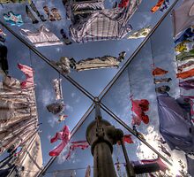 Hang me out to Dry (Hills Hoist 2) by Alexander Kesselaar