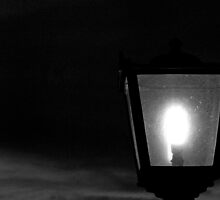 Lamp by Dave Pearson