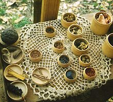 Natural Dyes by Sarah Stults