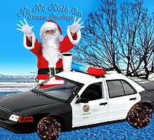 HO HO HOLD ON ..SEASONS GREETINGS..FUN HUMEROUS POLICE CARD AND OR PICTURE. by ✿✿ Bonita ✿✿ ђєℓℓσ