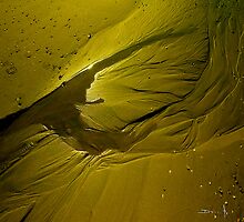 natural design by dominiquelandau