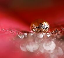 Golden Embers by ╰⊰✿Sue✿⊱╮ Nueckel