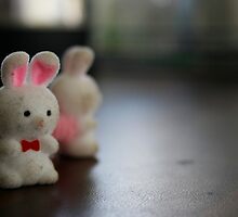 Bunnies by Alison Edge