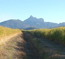MT WARNING, NSW, AUSTRALIA by Eamon Fitzpatrick