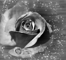 Rose Fairy by photomama4