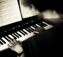 The Pianist by Mohammed Al Ibrahim