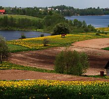 Spring in the May by Antanas