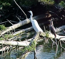 A Family Affair by Junebug60
