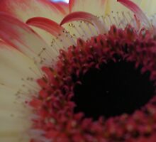 ....and caring by karenkirkham
