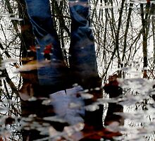 Cold Reflection by aner