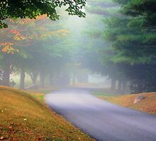 The Journey by John Pacifico
