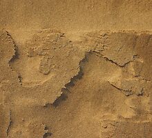 sand by dominiquelandau