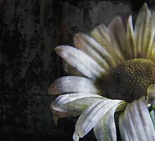 Experimenting with texture by Suni Pruett