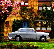 SUBURBIA by majo