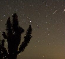 Mojave Night 2 by Chris Clarke
