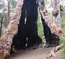 The foot of a giant by georgieboy98