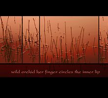 Wild Orchid by Ron C. Moss
