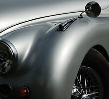 Jaguar XK 120 Lo Vue by ragman
