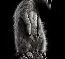 Homesick by Ben Grant